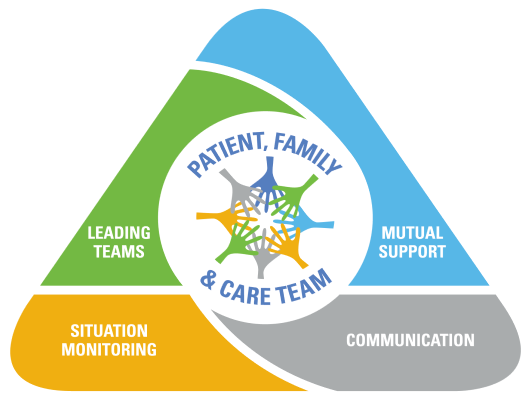 Patient, Family & Care Team; Leading Teams; Mutual Support; Siutation Monitoring; Communication
